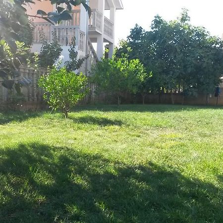 Apartment Villa Dobrijevic -Seljanovo 티바트 외부 사진