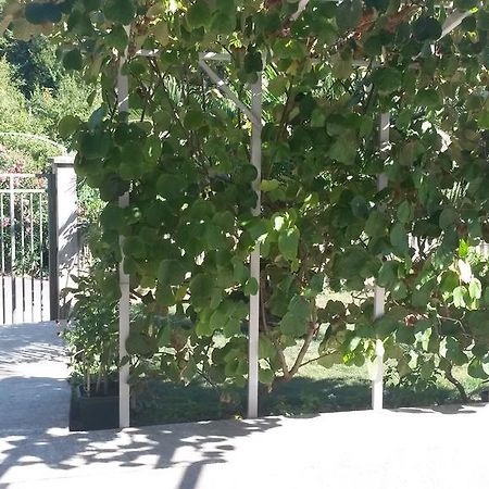 Apartment Villa Dobrijevic -Seljanovo 티바트 외부 사진